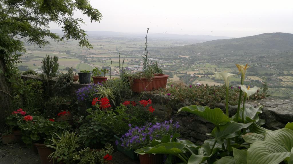 Apartamento Casa Mia A Cortona Habitación foto
